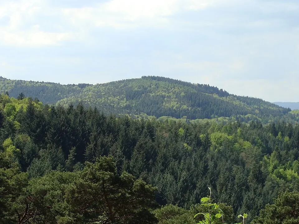 Rotsohlberg