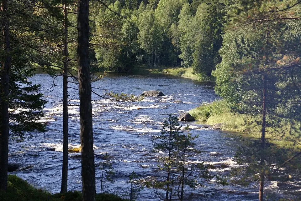 Rickleån