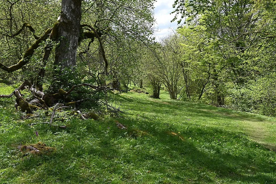 Rusarebo naturreservat
