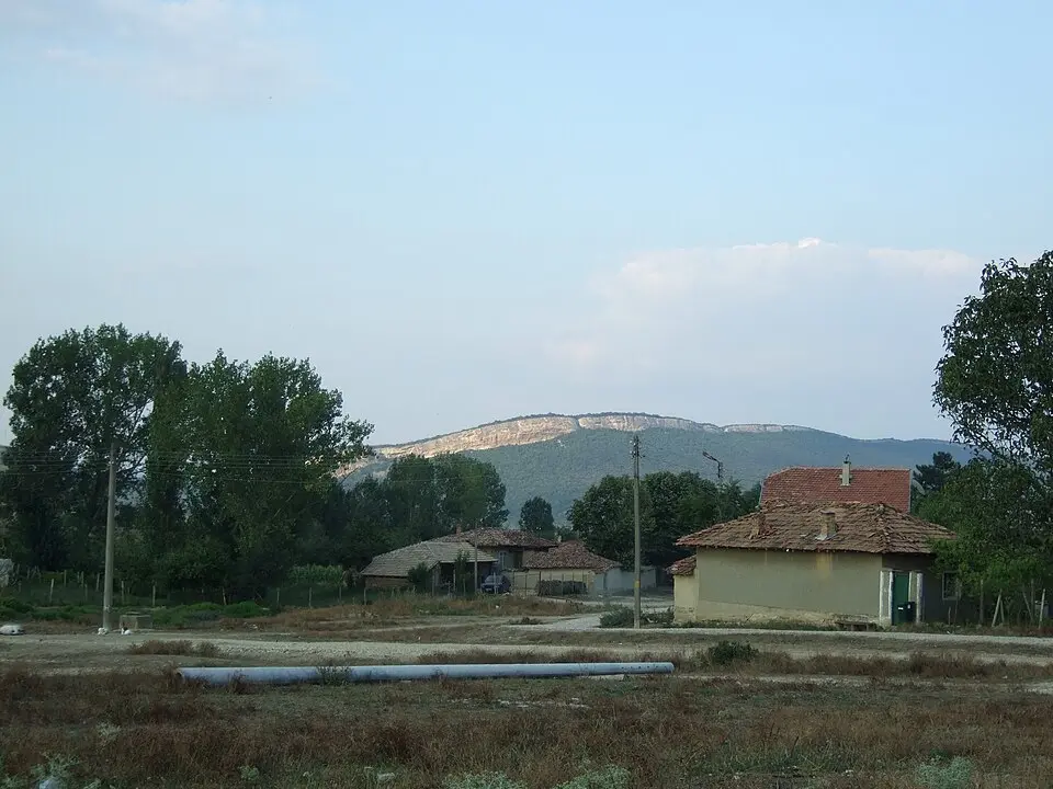 Партизани