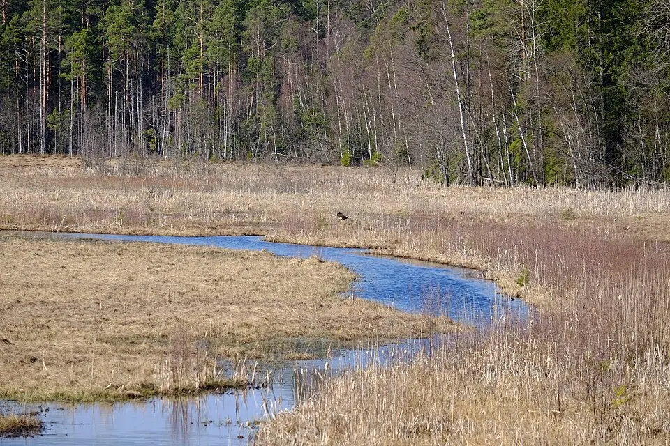 Barkerydssjöns naturreservat