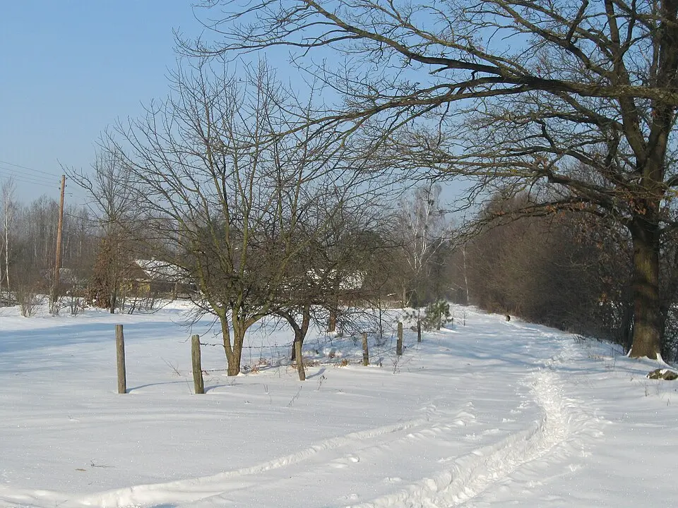 Дубрава