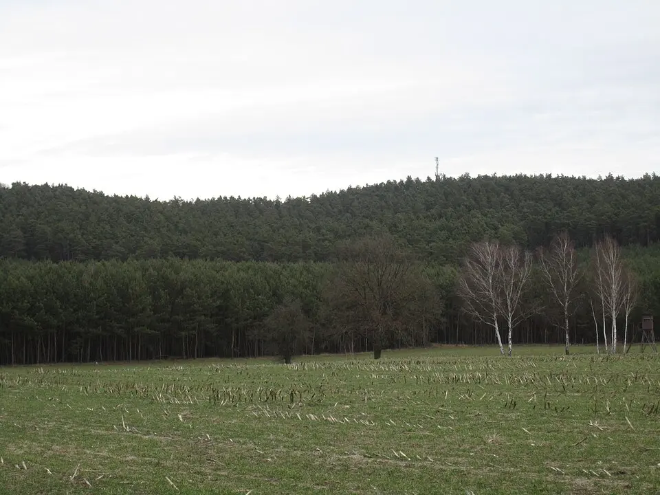 Dubrower Berge
