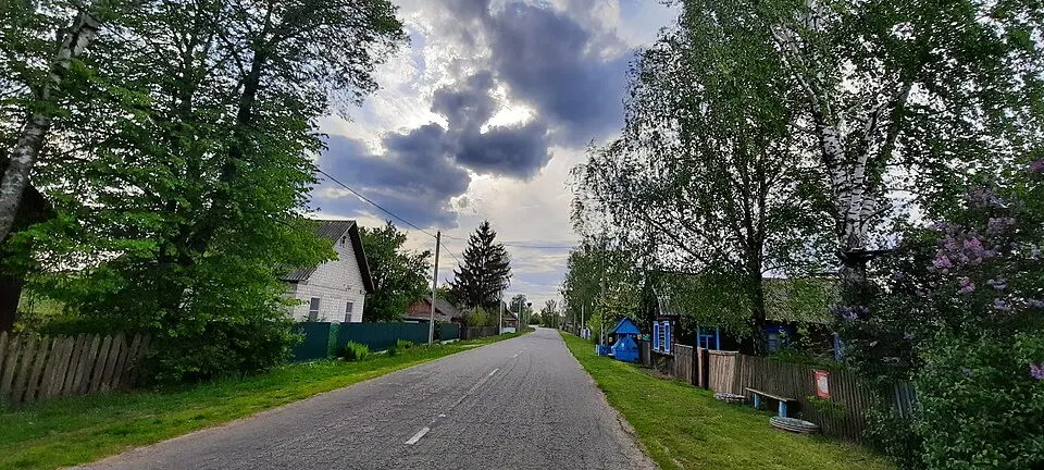 Dudzičy
