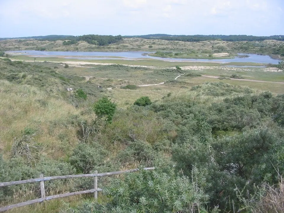 Nationalpark Zuid-Kennemerland