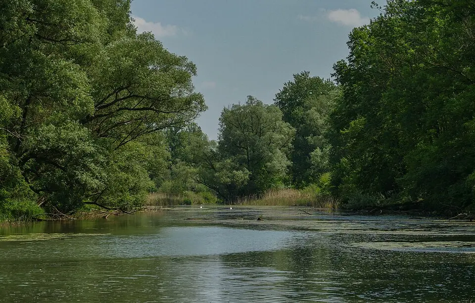 Traun-Donau-Auen