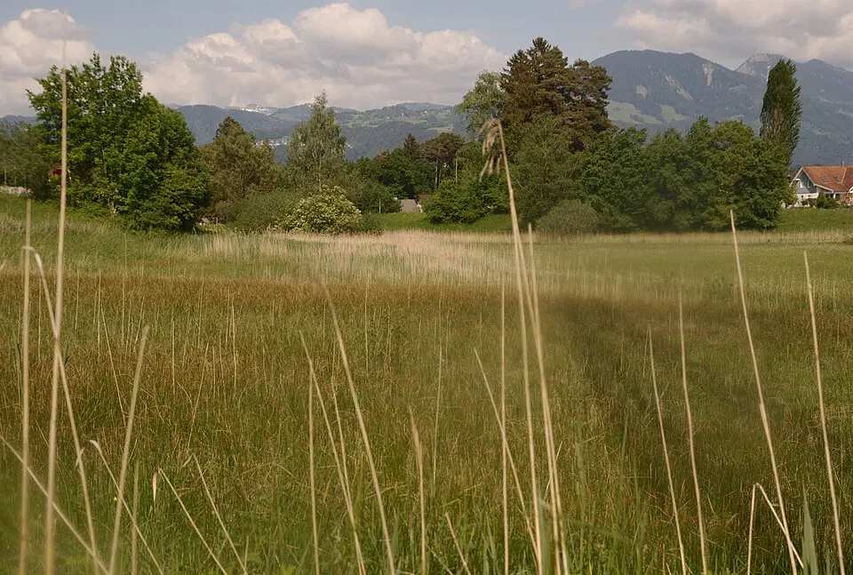 Maria–Grüner Ried