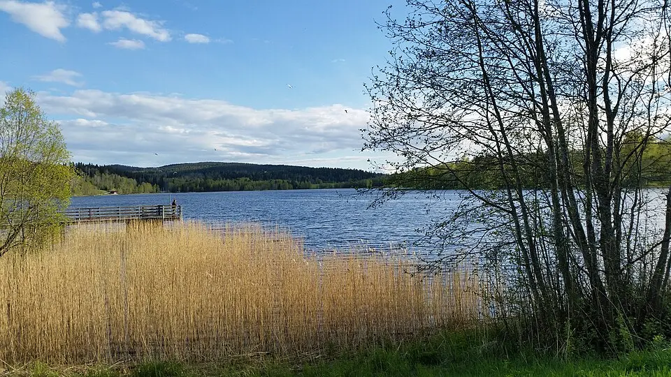 Sidsjö