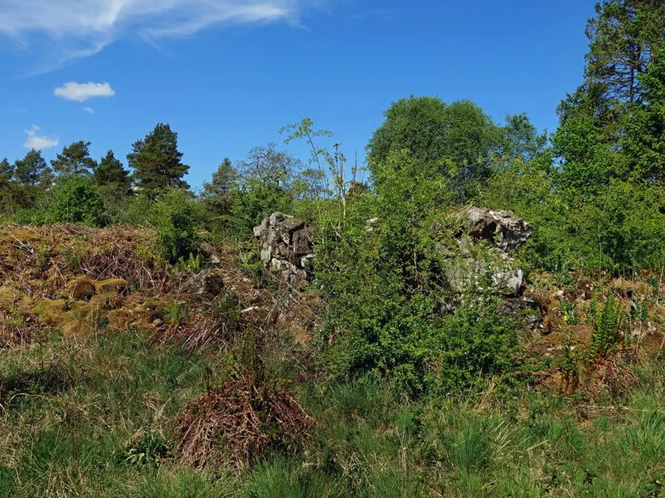 Dundeugh Castle
