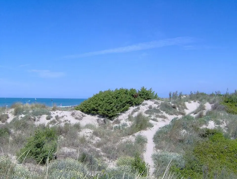 Dünen von Tirrenia