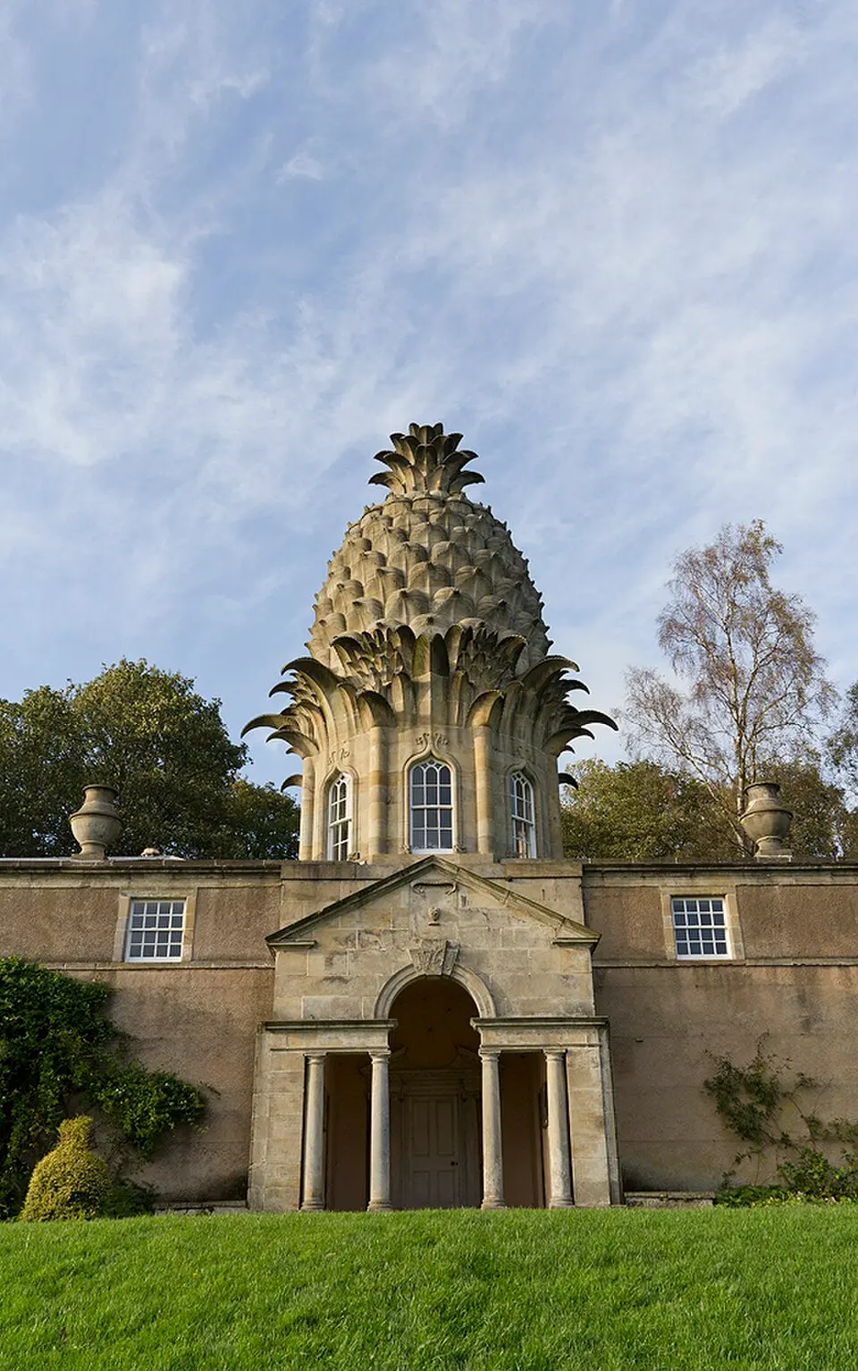 Dunmore Pineapple