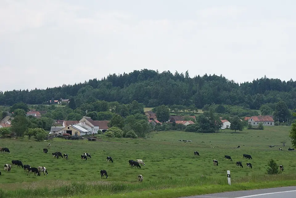 Dunovice