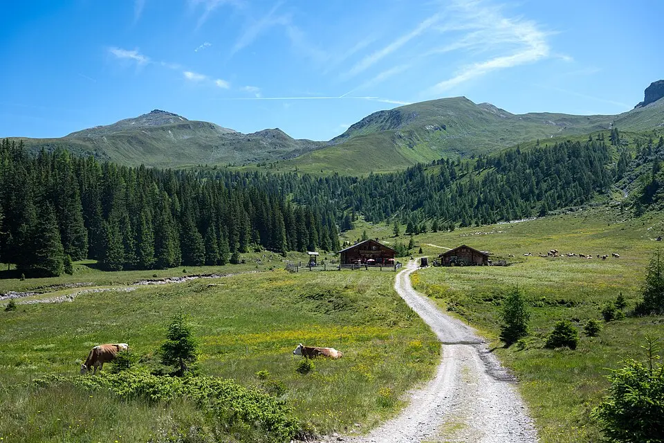 Seekopf