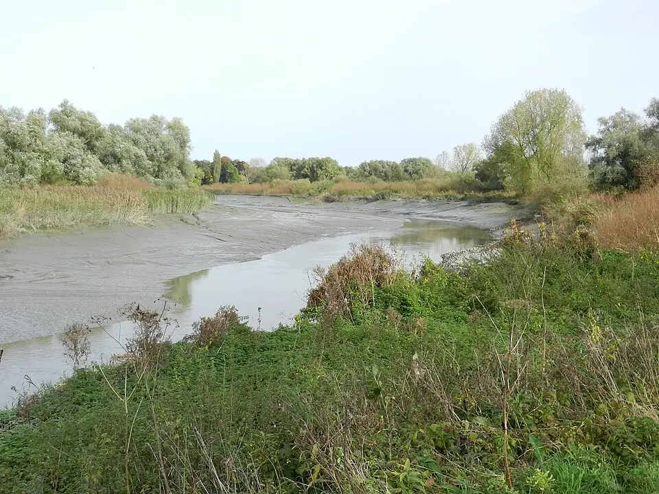 Bild: LucT · CC BY-SA 3.0 Gemene schoren van Hamme
