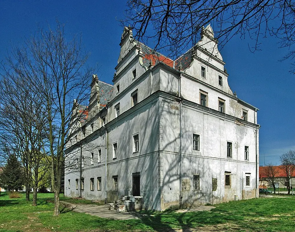 Zamek w Wilkowie Wielkim