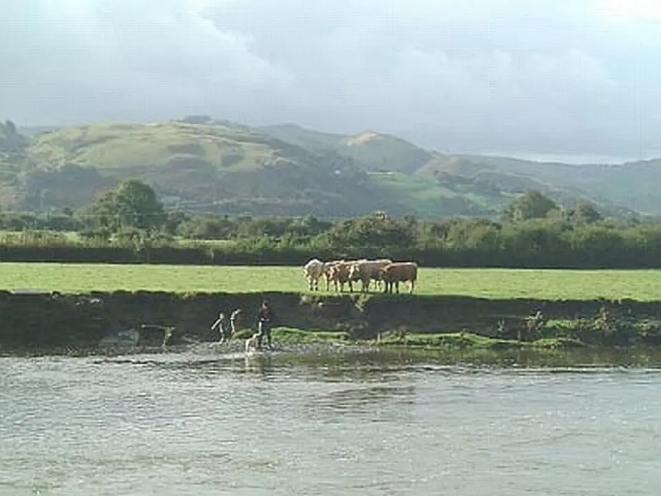 River Dyfi
