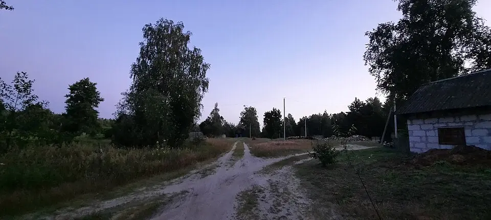 Дзятлы