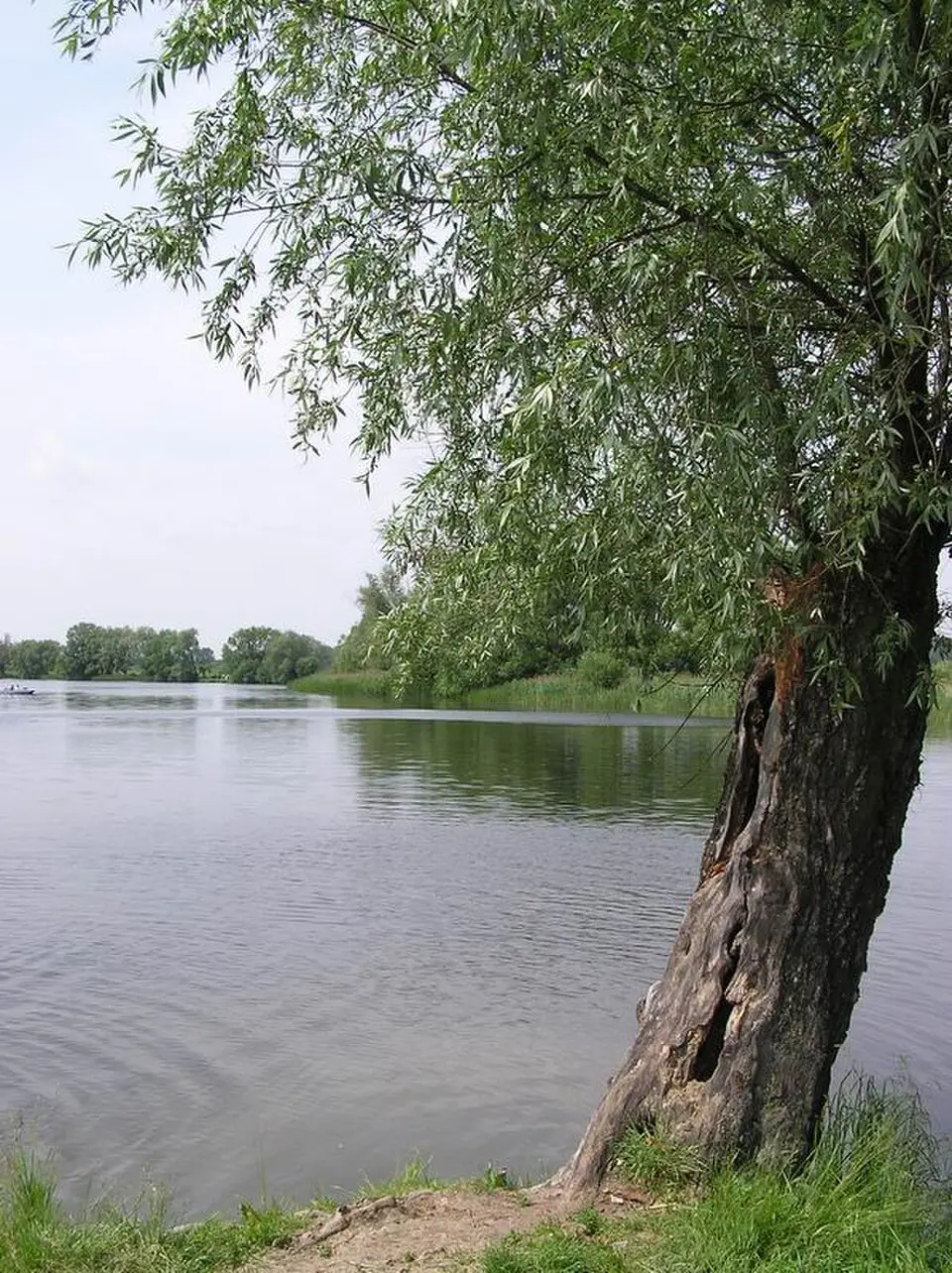 Bild: Hiuppo · CC BY-SA 3.0 Dziekanów Polski