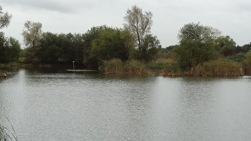 Eastbrookend Country Park