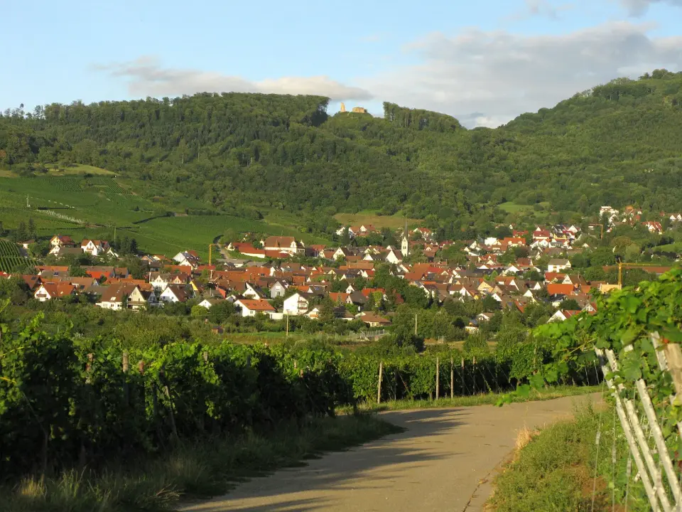 Image: Andreas Schwarzkopf · CC BY-SA 3.0 Schneeburg
