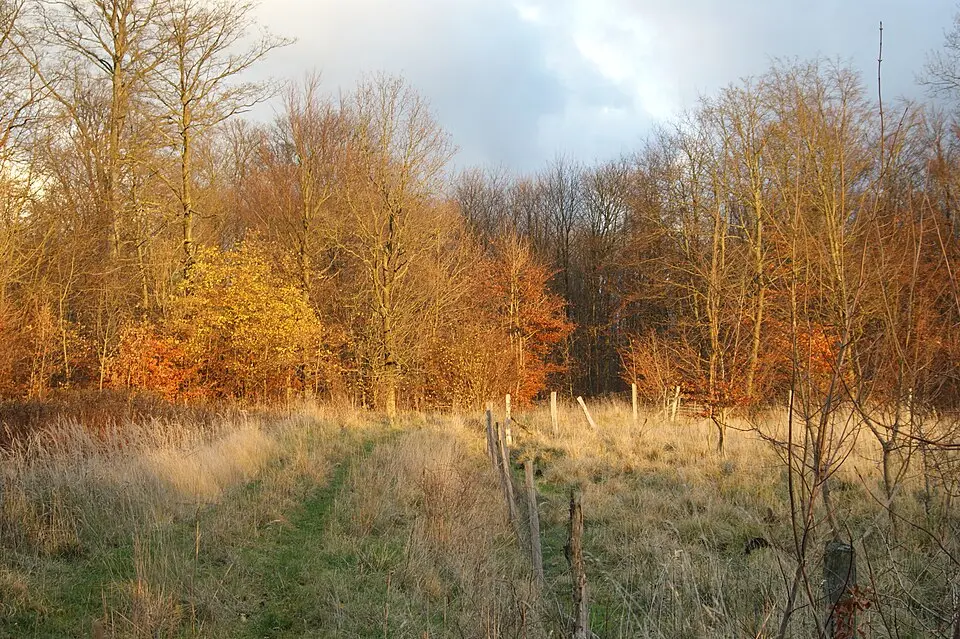 Valby Hegn