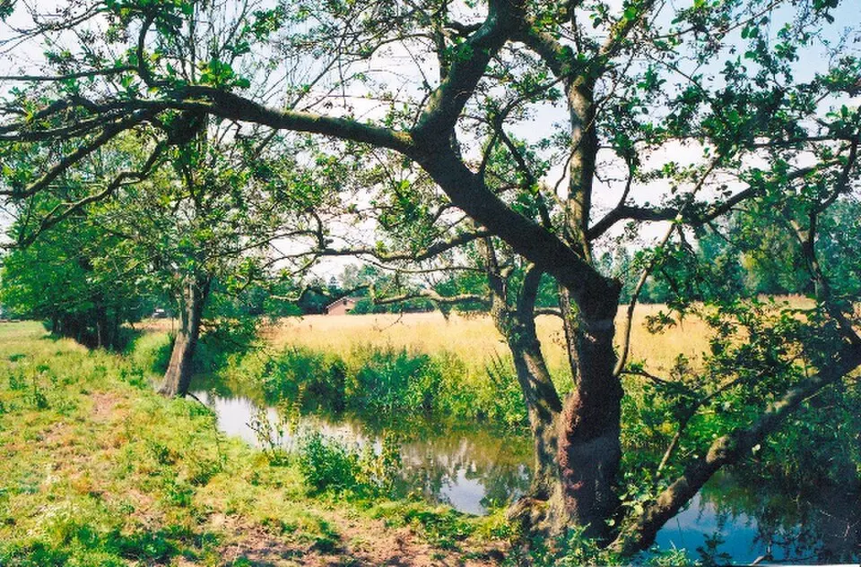 Kasteel van Meerbeek