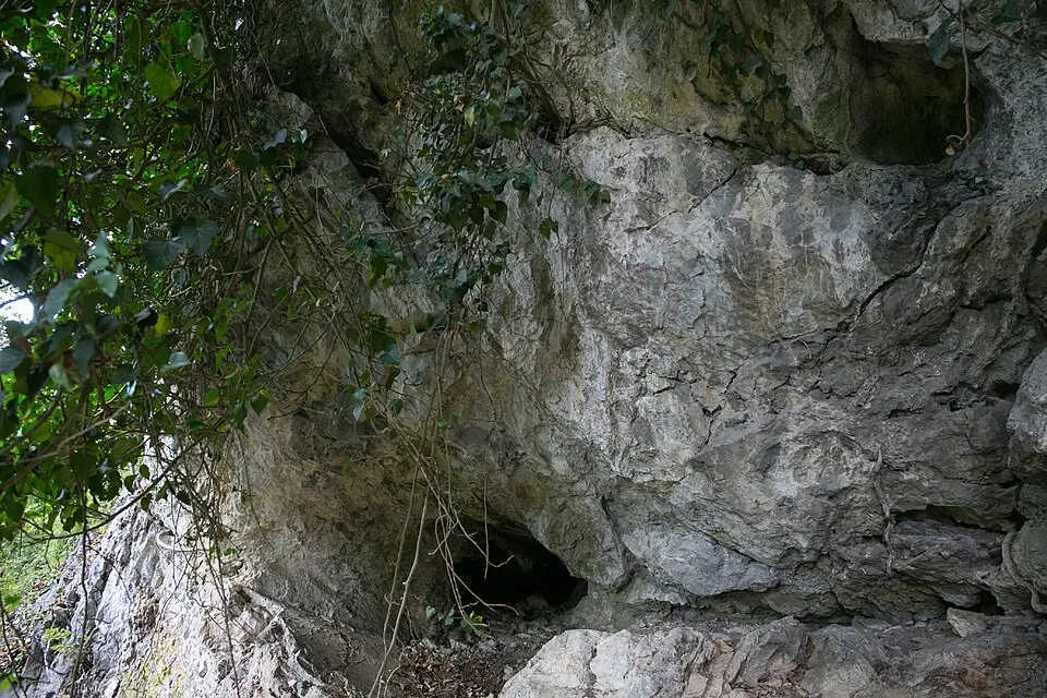 Efeuhöhle