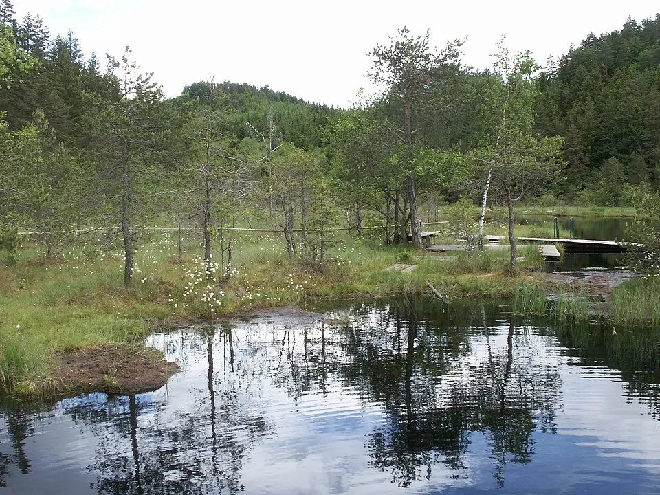 Hochgosch