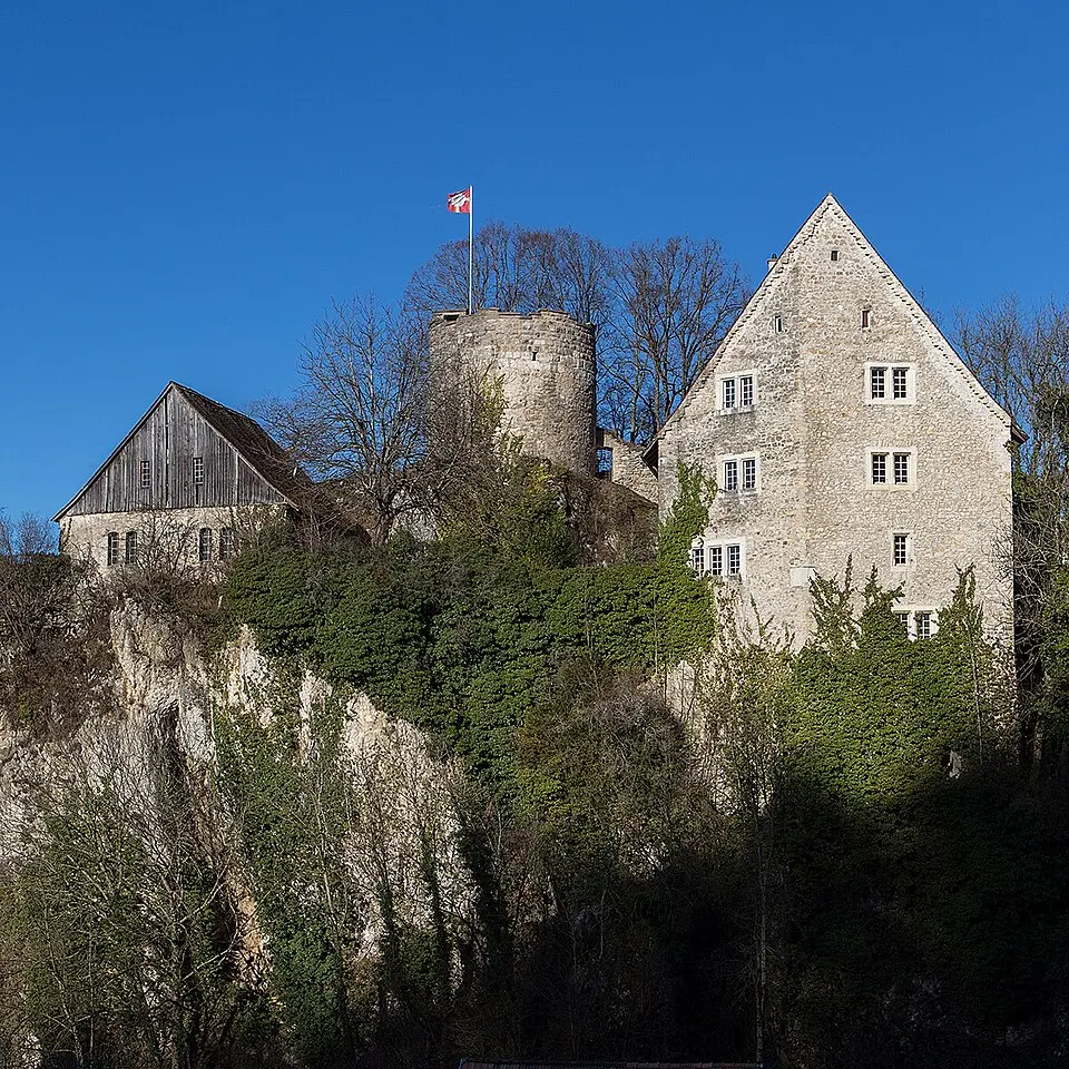 Schloss Pleujouse