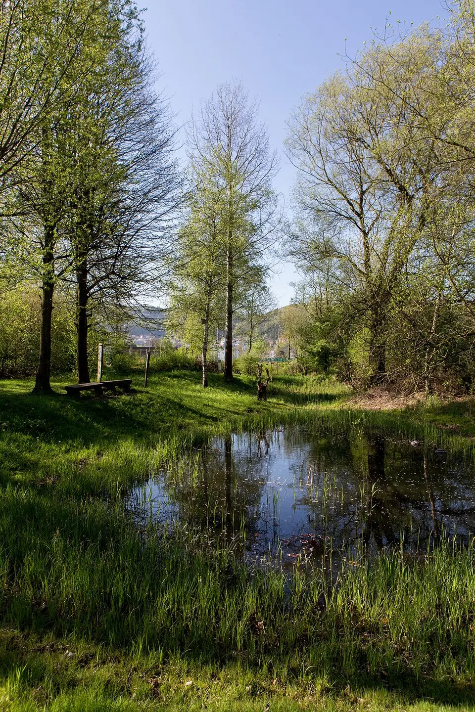 Biotop Bustelbach (altsteinzeitliche Fundstelle)