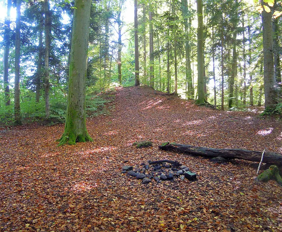 Heidenburg, bronze-, eisenzeitliche und römische Höhensiedlung / Wallanlage