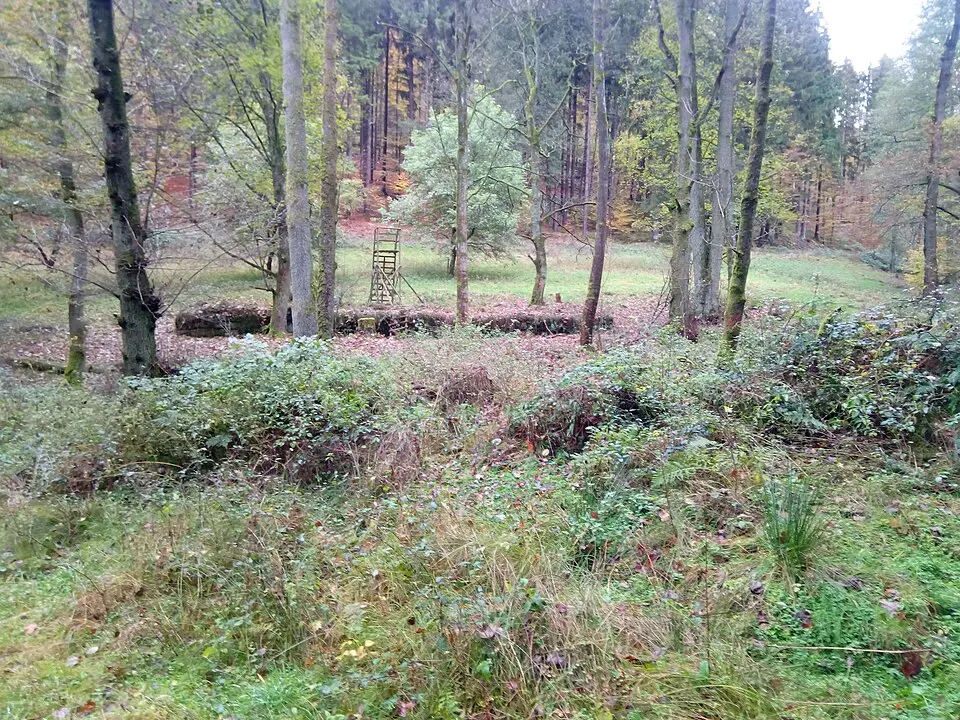 Ruine Wassermühle