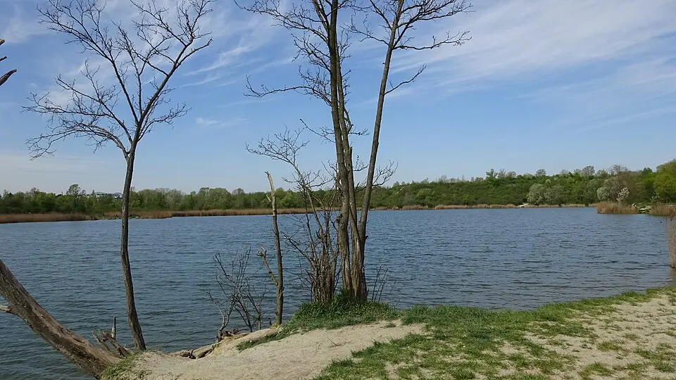 Image: Mithlachiel66 · CC BY-SA 3.0 AT Wienerberger Teich