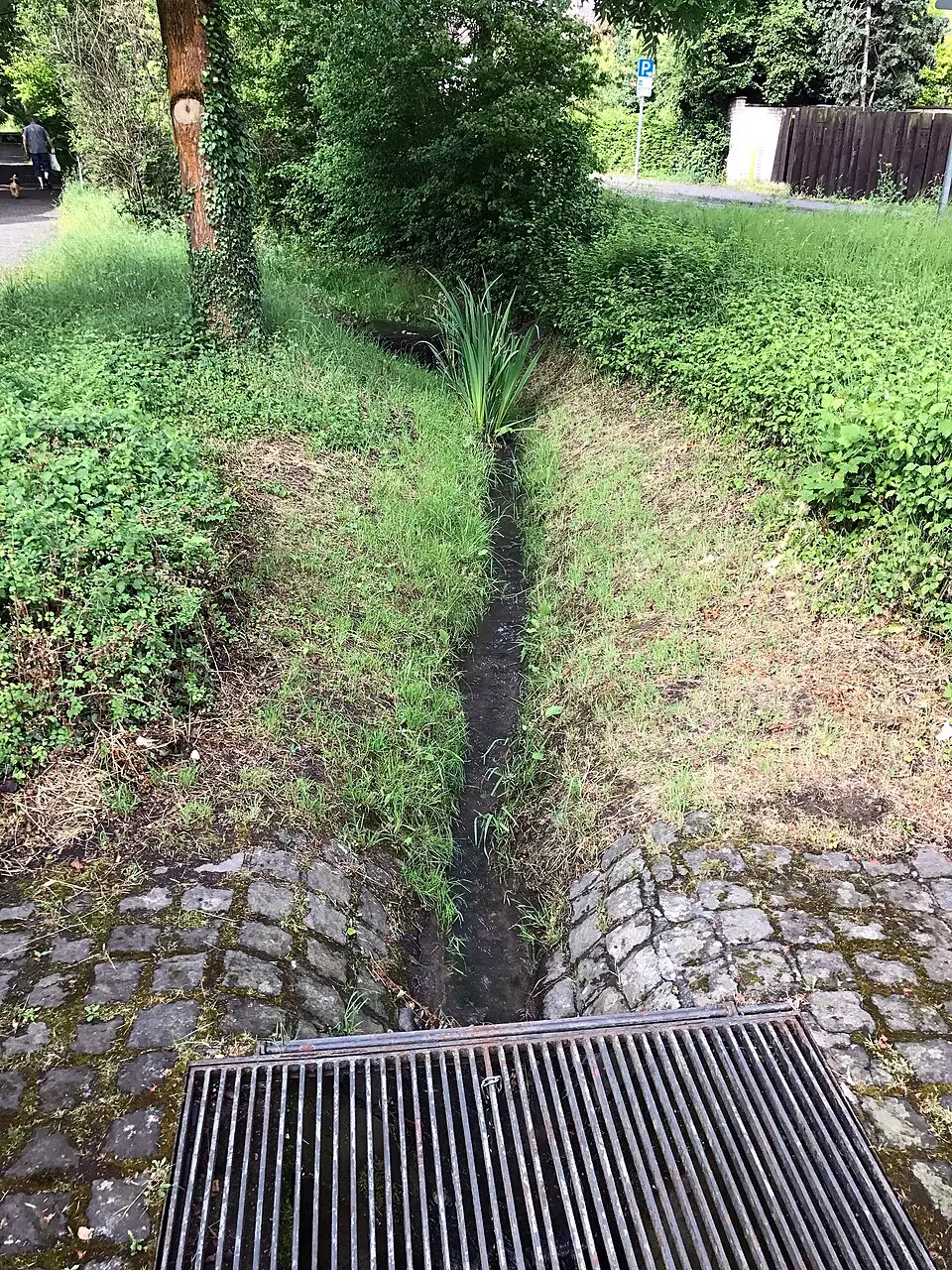 Bild: Bungert55 · CC BY-SA 3.0 Heilsbach