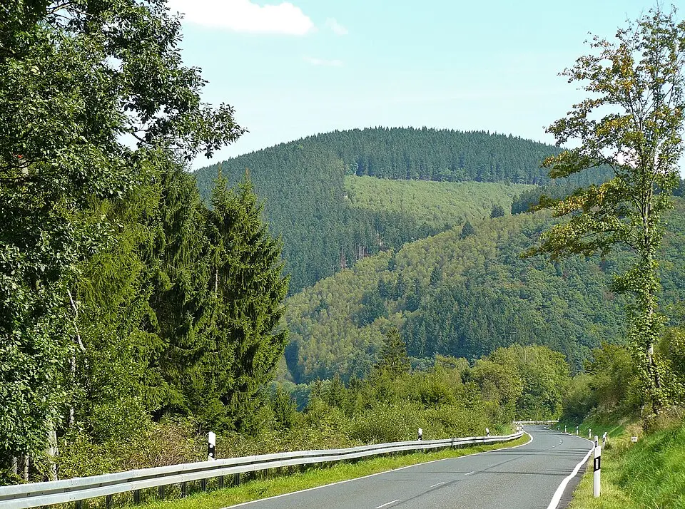 Eichholzkopf