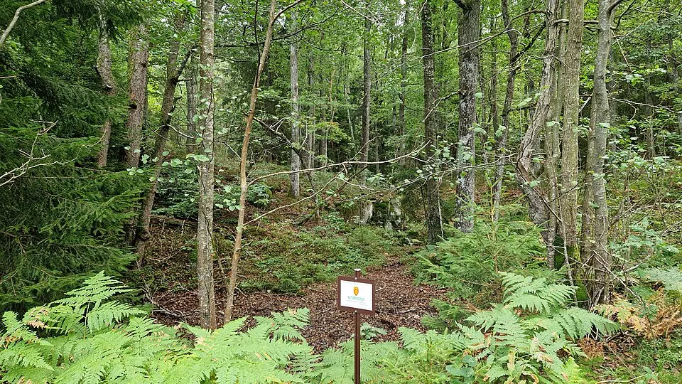 Eikåsen naturreservat