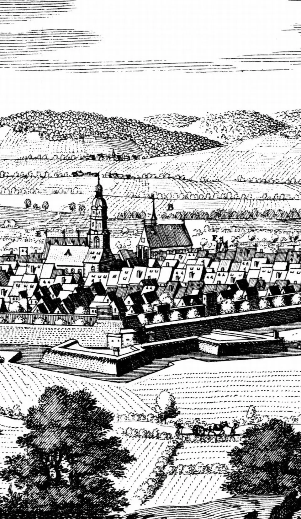 Maria-Magdalenen-Kloster (Einbeck)