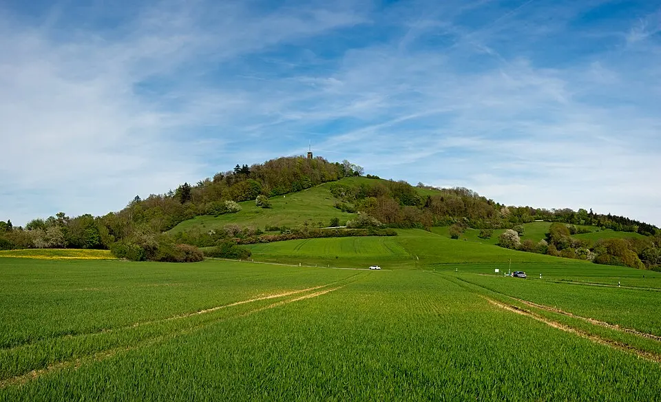 Einkorn