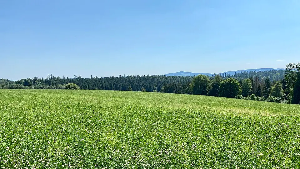 Einsiedelberg