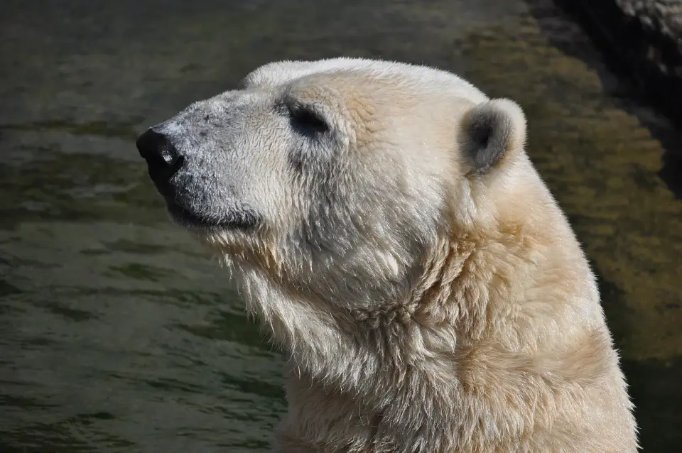 Zoo Rostock