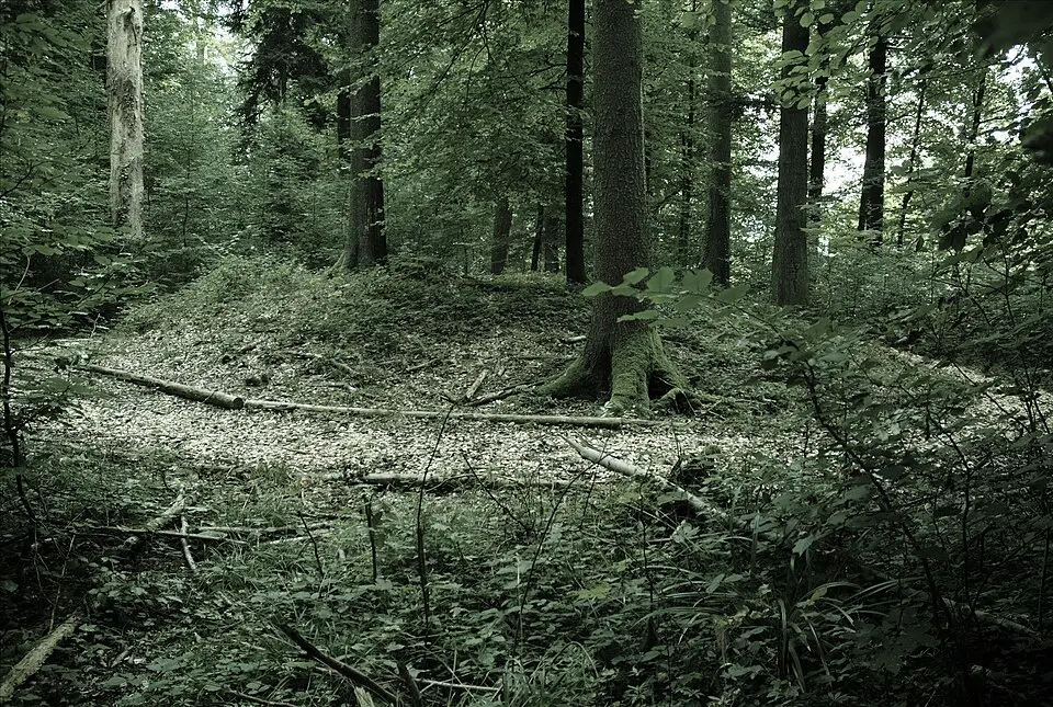 Immagine: Nofalab · CC BY-SA 3.0 Bärhau, eisenzeitliche Grabhügelgruppe