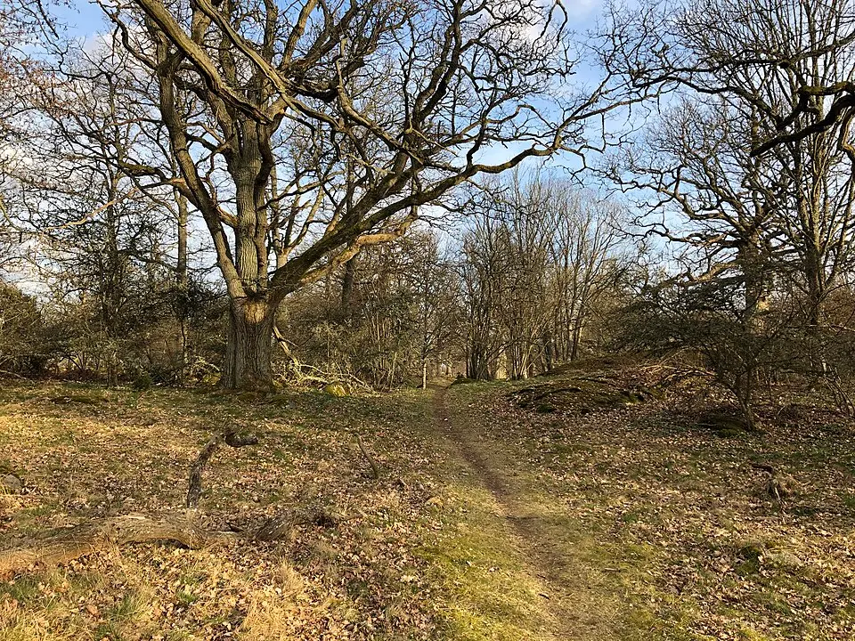 Ekebackens naturreservat