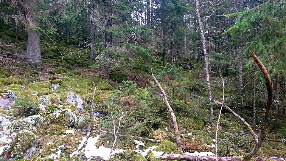 Eketorp