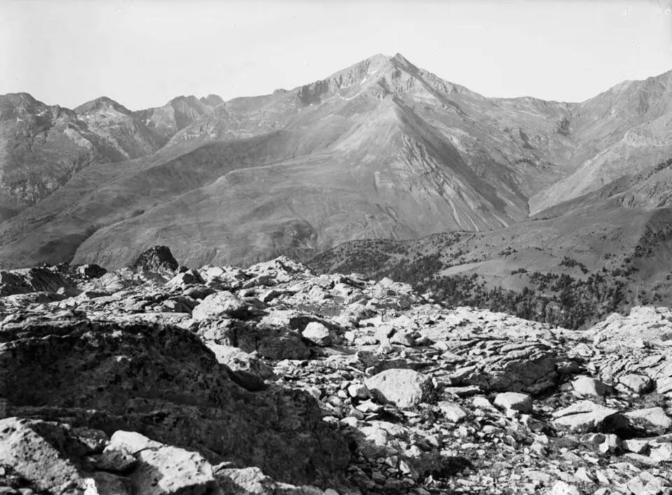 Image: Juli Soler i Santaló · Public domain pic Schrader