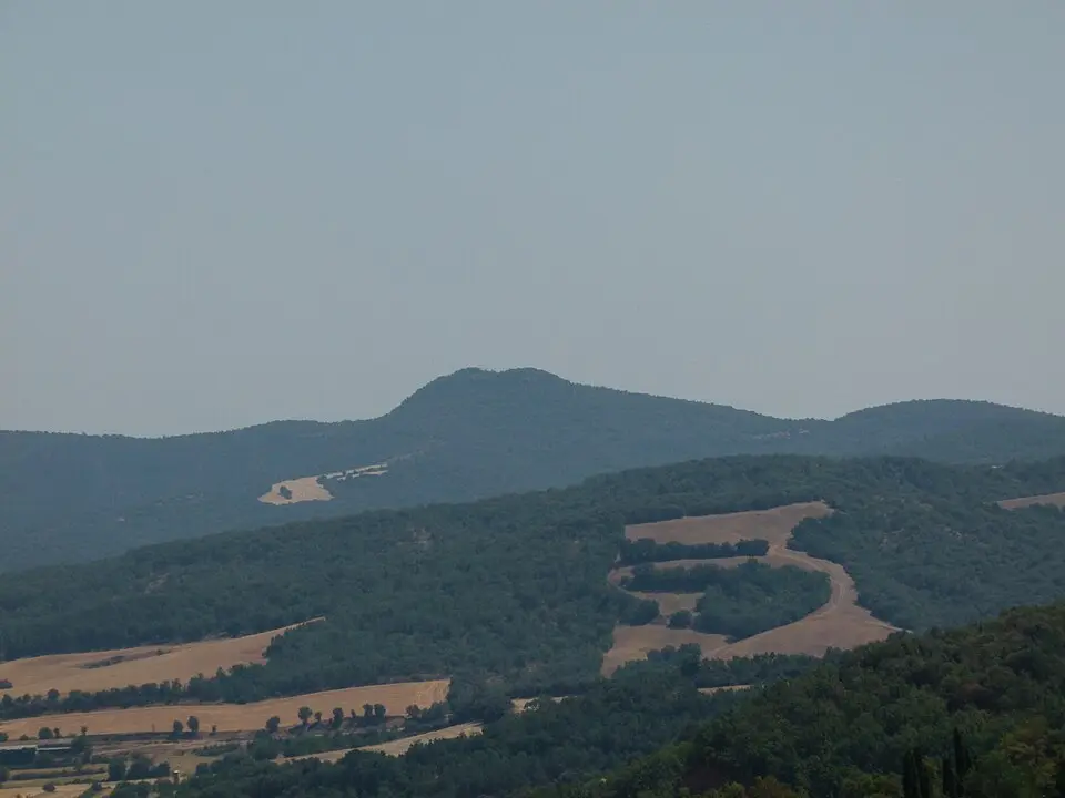 Buñero