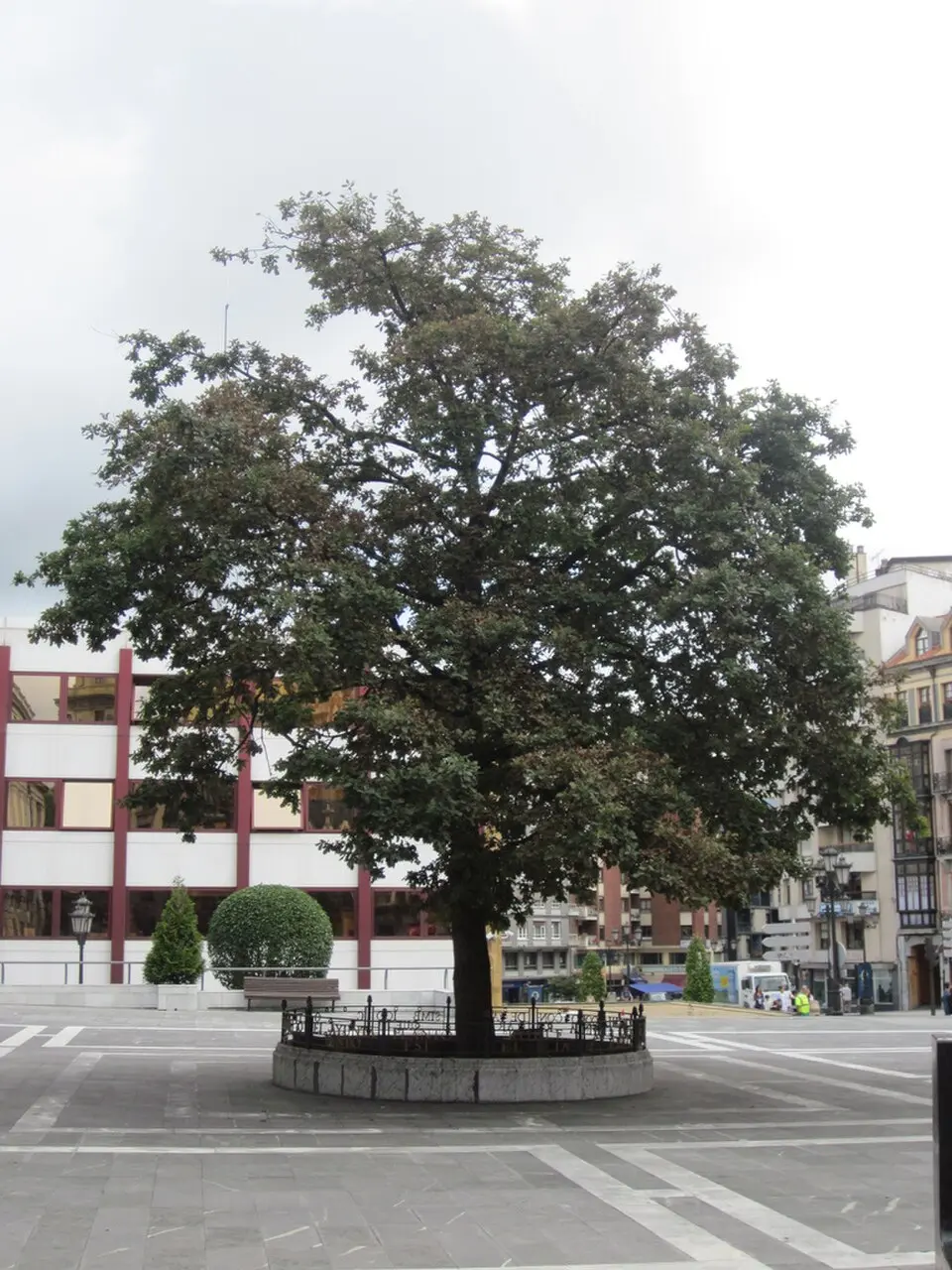 Obrázok: Aureliano · CC BY-SA 2.0 El Carbayón