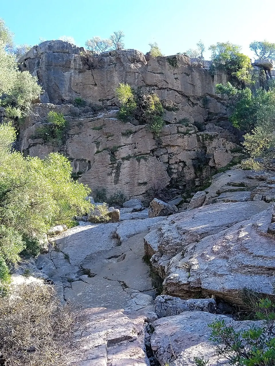 Chorrero