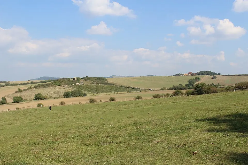 Zvonička