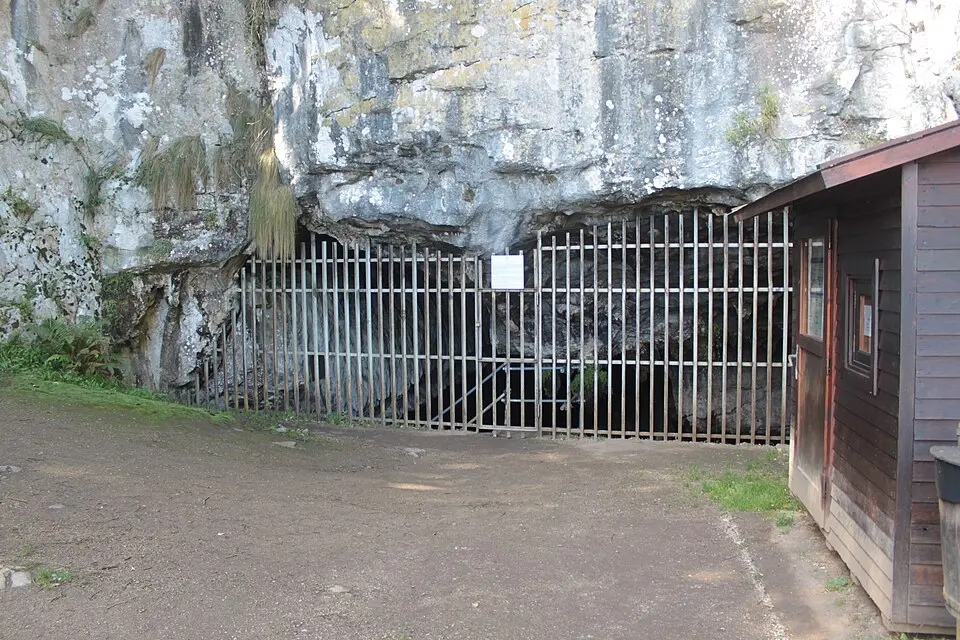 Grotte d'El Pindal