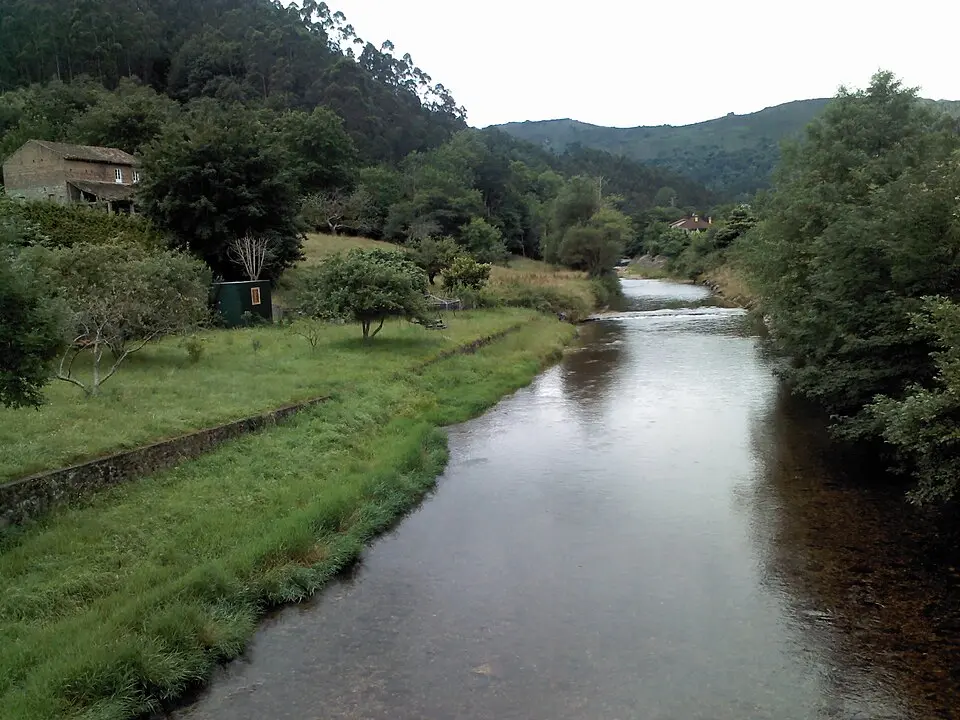 Río Bedón